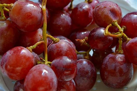 френско грозде повишава кръвното налягане